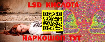 Альфа ПВП Новодвинск