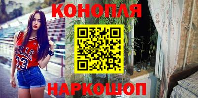Альфа ПВП Новодвинск