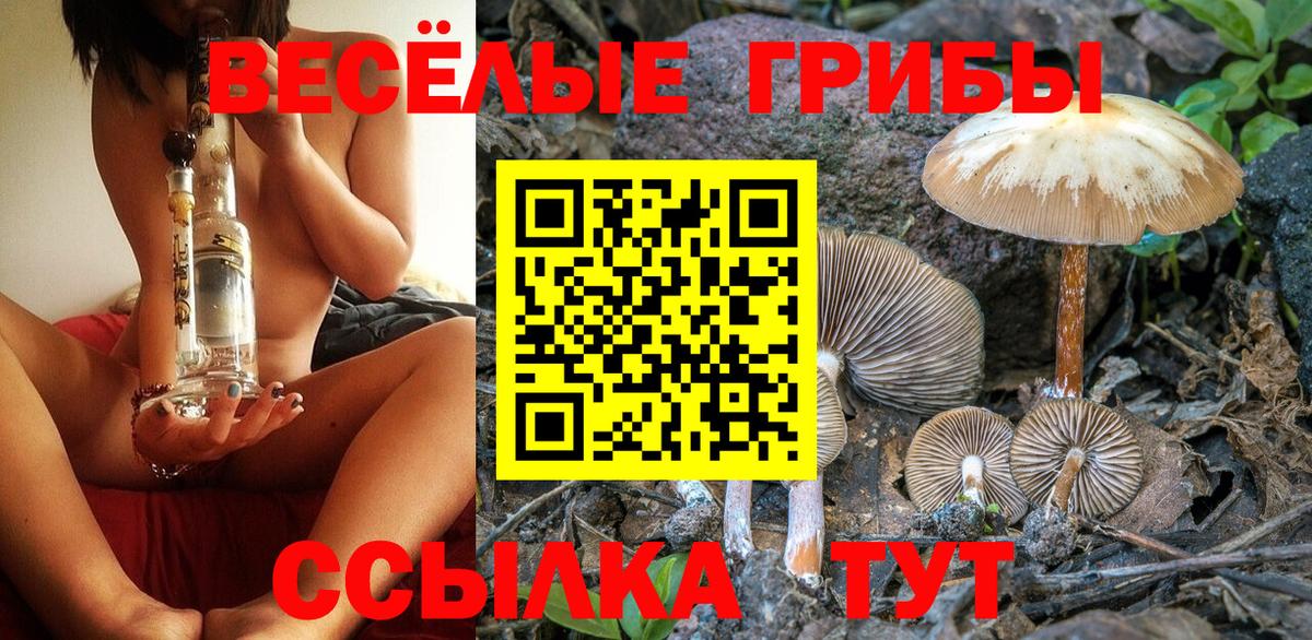 Галлюциногенные грибы GOLDEN TEACHER  Вход с VPN  Псилоцибиновые грибы MAGIC MUSHROOMS  Фролово 