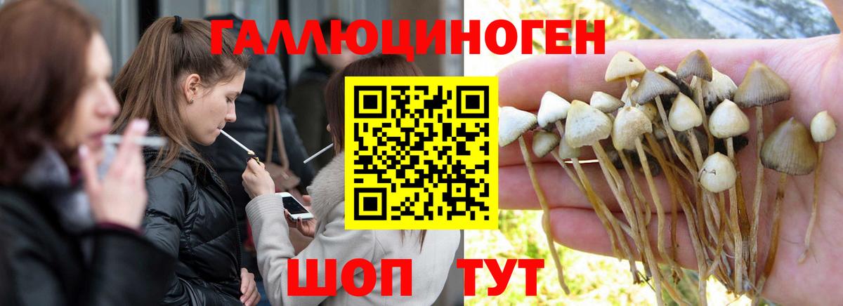 Псилоцибиновые грибы GOLDEN TEACHER Фролово